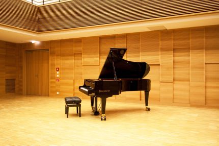 Konzertflügel vor gestaffelter Akustik-Wandverkleidung aus Holz – Musikschule Essenbach